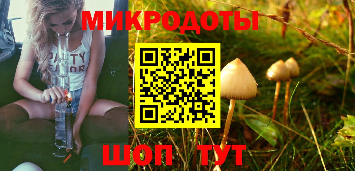 Псилоцибиновые грибы Psilocybe Шатура
