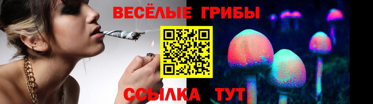 Псилоцибиновые грибы Magic Shrooms  Вход с VPN  Псилоцибиновые грибы Cubensis  Шатура 